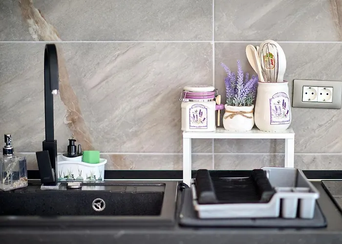 Provence In N Pool מאמאיה